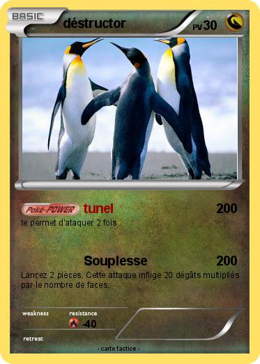 Pokemon déstructor