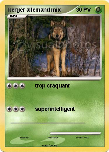 Pokemon berger allemand mix
