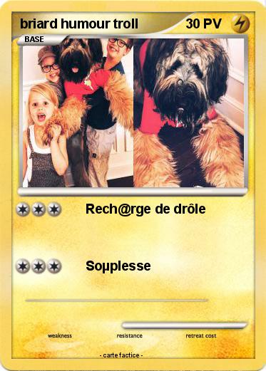 Pokemon briard humour troll