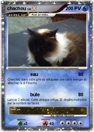 Pokemon chachou