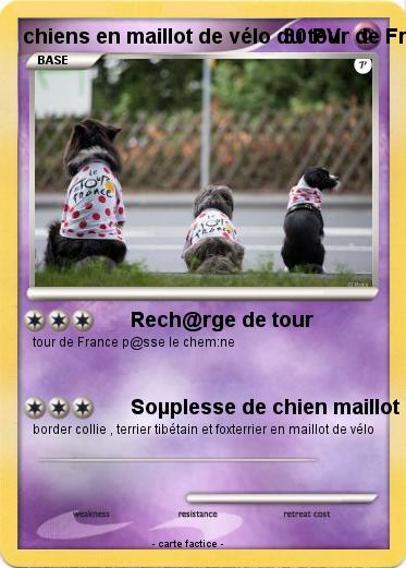 Pokemon chiens en maillot de vélo du tour de France