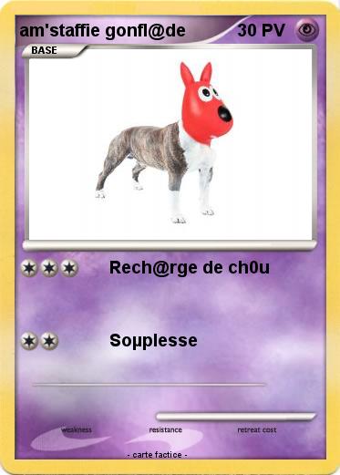 Pokemon am'staffie gonfl@de