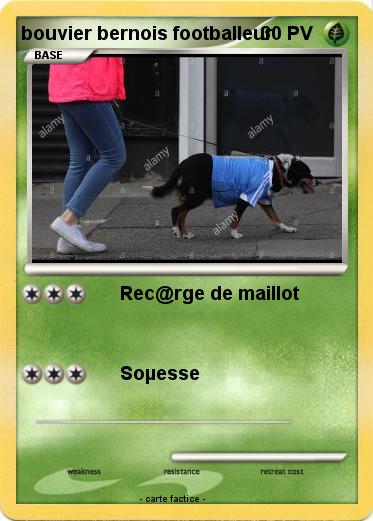 Pokemon bouvier bernois footballeur