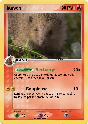 Pokemon harson