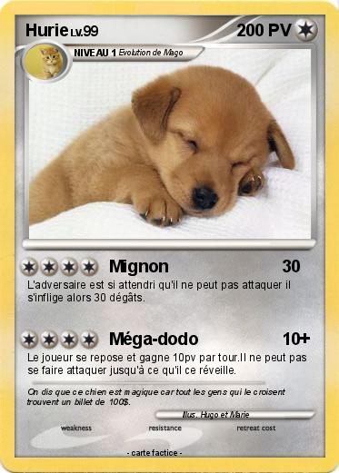 Pokemon Hurie
