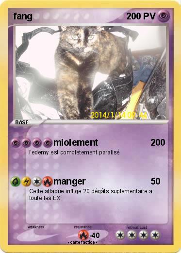 Pokemon fang