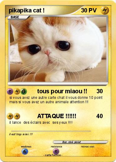 Pokemon pikapika cat !