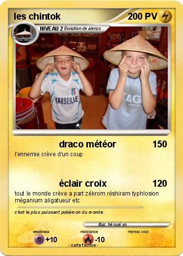 Pokemon les chintok