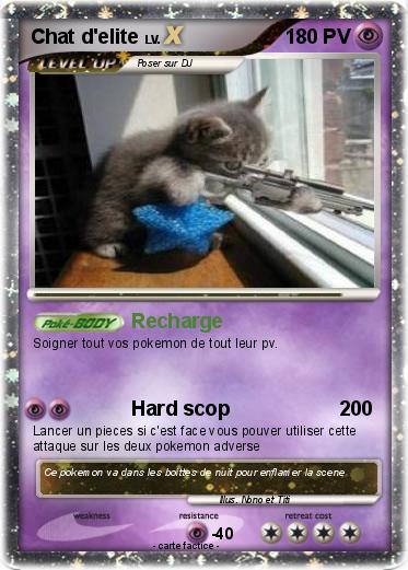 Pokemon Chat d'elite
