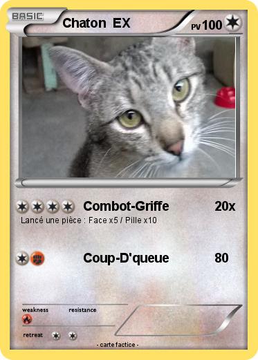 Pokemon Chaton  EX