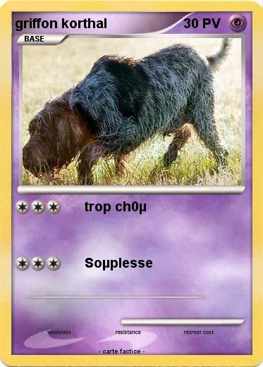 Pokemon griffon korthal