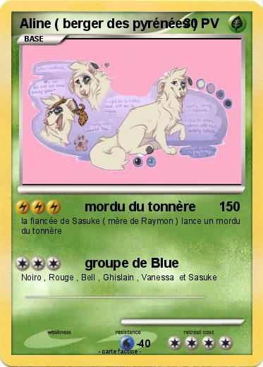 Pokemon Aline ( berger des pyrénées )