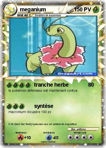 Pokemon meganium