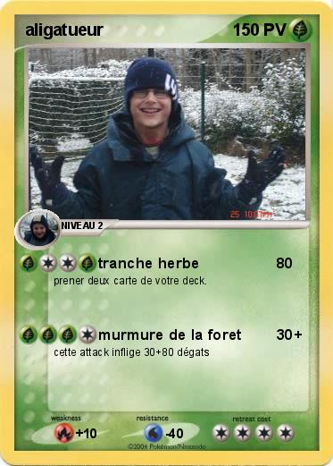 Pokemon aligatueur