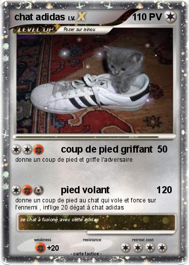 Pokemon chat adidas