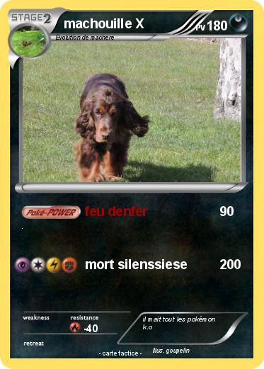 Pokemon machouille X