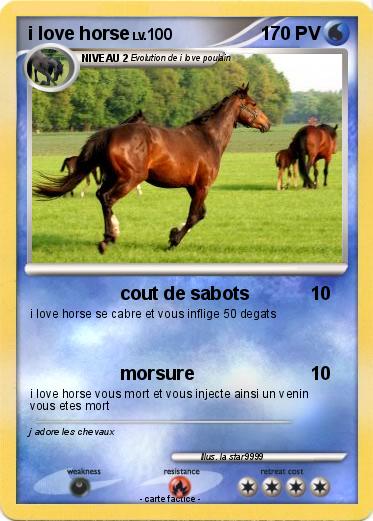 Pokemon i love horse