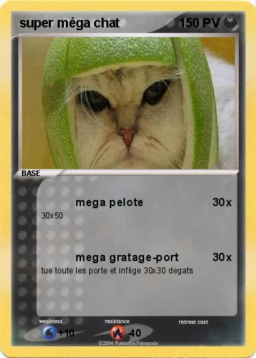 Pokemon super méga chat