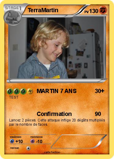 Pokemon TerraMartin