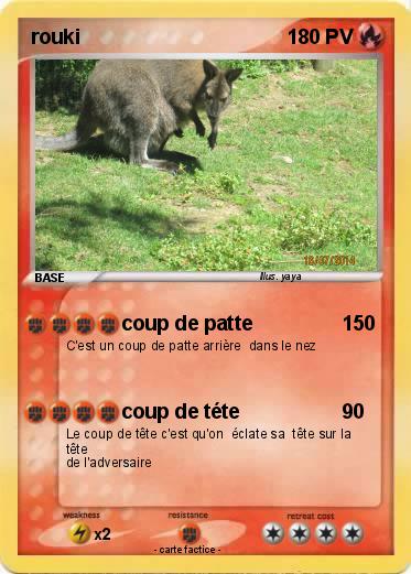 Pokemon rouki