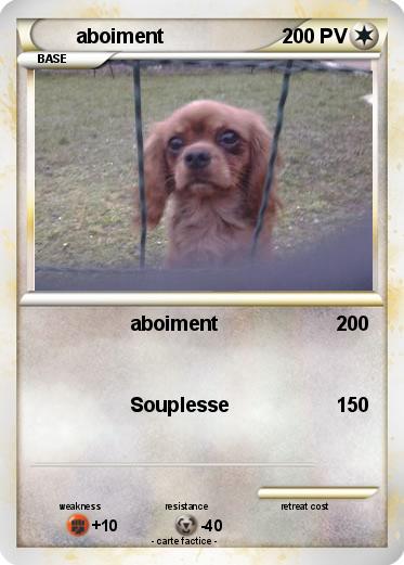 Pokemon aboiment
