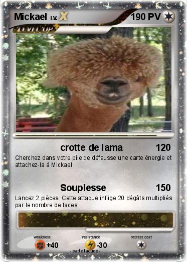Pokemon Mickael