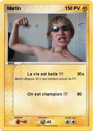 Pokemon Martin
