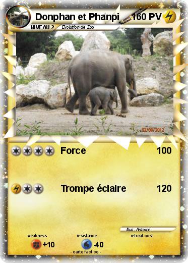 Pokemon Donphan et Phanpi
