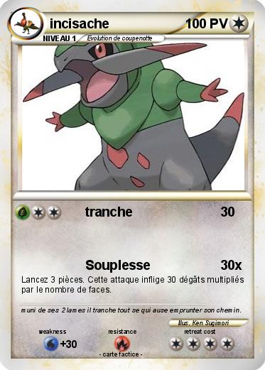 Pokemon incisache