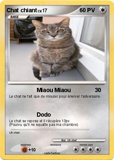 Pokemon Chat chiant