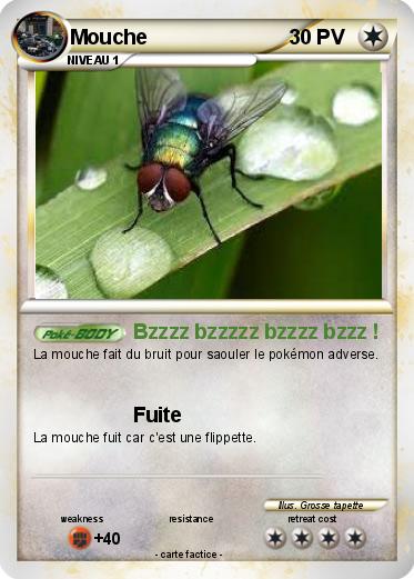 Pokemon Mouche