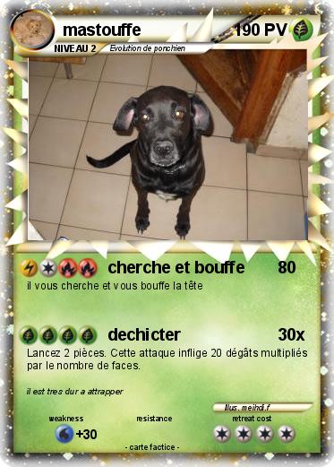 Pokemon mastouffe