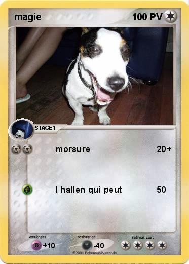 Pokemon magie