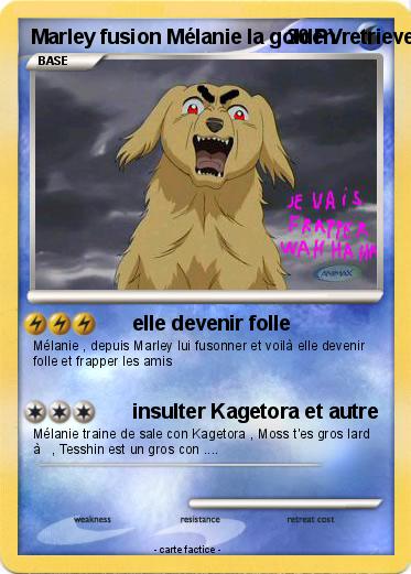 Pokemon Marley fusion Mélanie la golden retriever