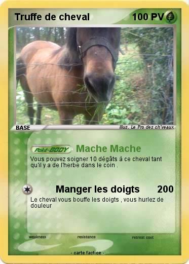 Pokemon Truffe de cheval