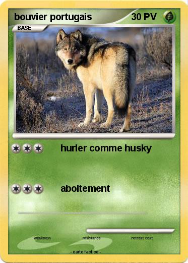 Pokemon bouvier portugais