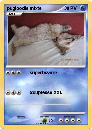 Pokemon pugloodle mixte