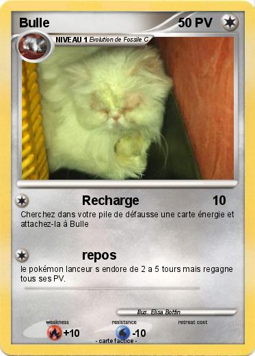 Pokemon Bulle