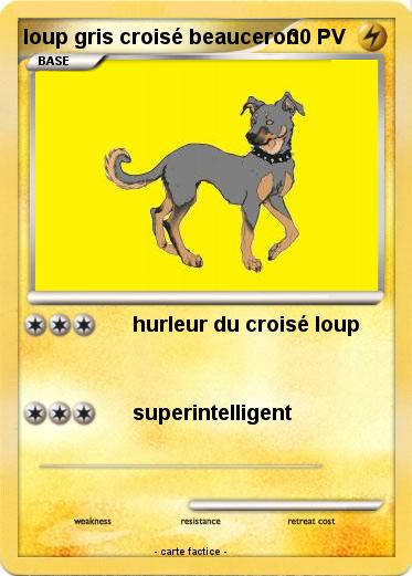Pokemon loup gris croisé beauceron