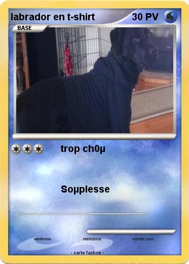 Pokemon labrador en t-shirt