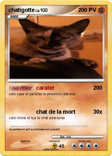 Pokemon chatigotte