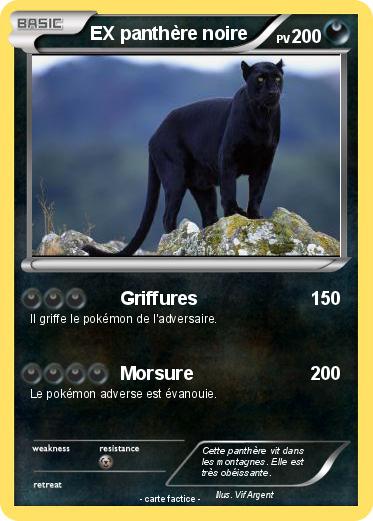 Pokemon EX panthère noire