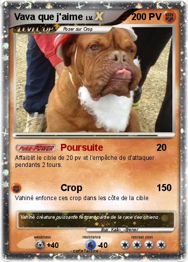 Pokemon Vava que j'aime