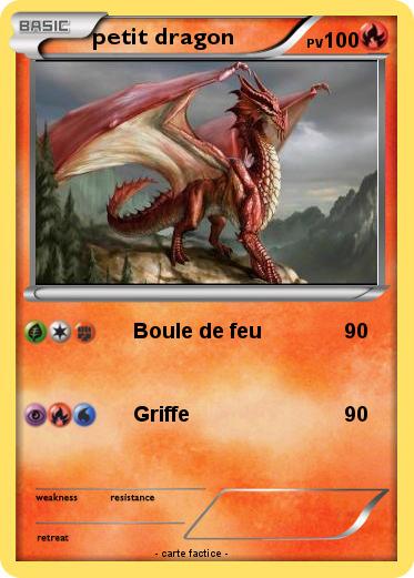 Pokemon petit dragon