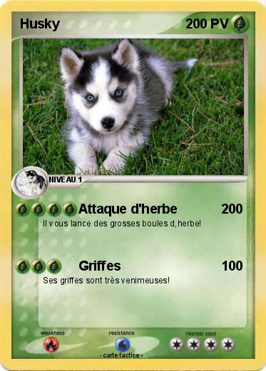 Pokemon Husky