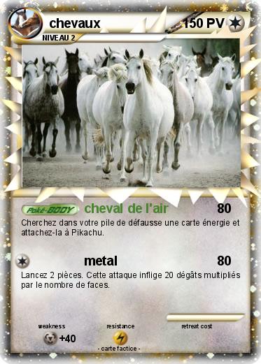Pokemon chevaux