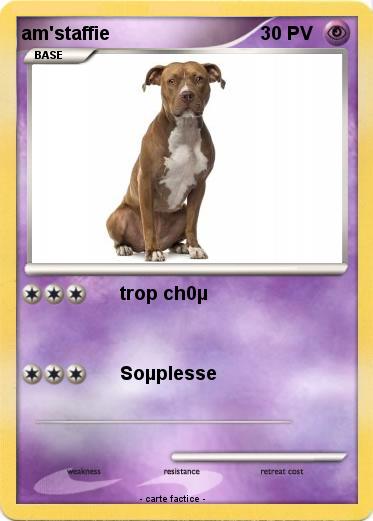 Pokemon am'staffie