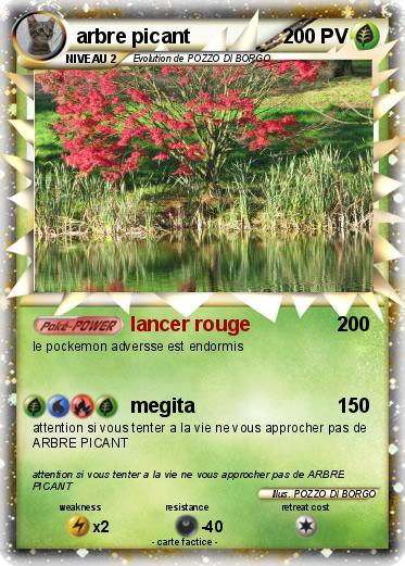 Pokemon arbre picant