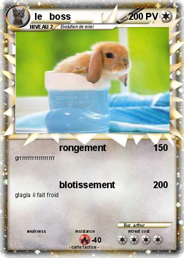 Pokemon le   boss