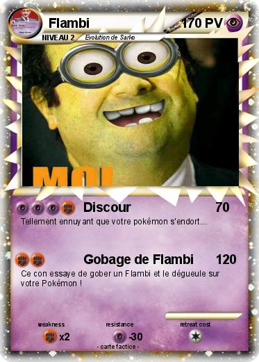 Pokemon Flambi